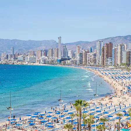 Coblanca 7-113 Levante